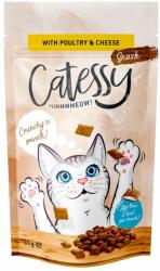 Catessy Catessy Knabber-Snacks 65 g - Pasăre, brânză & taurină