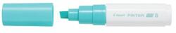 Pilot Marker cu vopsea Pilot Pintor Metallic B culori metalizate 8 mm varf tesit verde (PSW-PT-BPG)