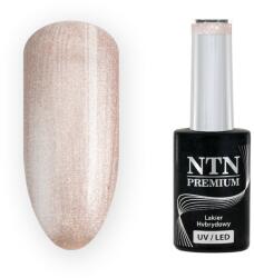 NTN Premium UV/LED Géllakk 199#