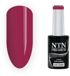 NTN Premium UV/LED Géllakk 207#