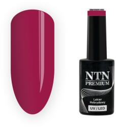 NTN Premium UV/LED 214#