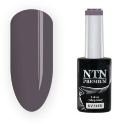 NTN Premium UV/LED 201# (kifutó szín)
