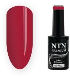 NTN Premium UV/LED 215# (kifutó szín)