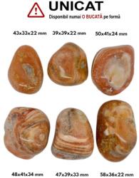 Palm Stone Agata Dungata Naturala - 39-58 x 33-41 x 22-34 mm - (XXL) - Unicat