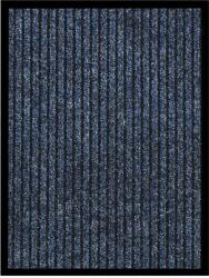 vidaXL Covoraș intrare, albastru cu dungi, 40x60 cm (331610) - vidaxl