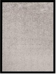 vidaXL Covoraș intrare, gri, 40x60 cm (331589)