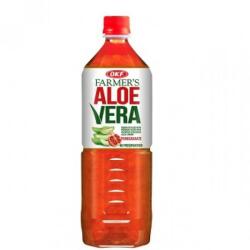 OKF Aloe Vera ital gránátalma 1 l