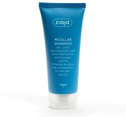 Ziaja Antioxidáns hajápoló micellás sampon 200 ml - gyogynovenysziget
