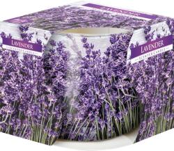 4home Aura lavender 100 g