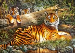 Cherry Pazzi 30325 - Quiet Fire - 1000 db-os puzzle (30325)