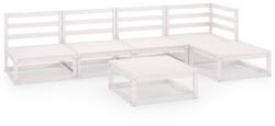 vidaXL Set mobilier de grădină, 6 piese, alb, lemn masiv de pin (3075520) - comfy