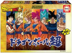 Educa Puzzle Dragon Ball Educa 300 piese de la 6 ani (EDU19188) Puzzle