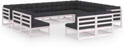 vidaXL Set mobilier de grădină cu perne, 12 piese, alb, lemn masiv pin (3076945) - comfy