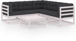 vidaXL Set mobilier de grădină cu perne, 6 piese, lemn masiv de pin (3076550) - comfy