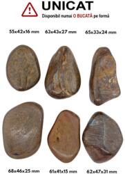Palm Stone Bronzit Natural - 55-68 x 33-46 x 16-31 mm - (XXL) - Unicat