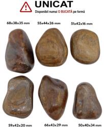 Palm Stone Bronzit Natural - 50-66 x 38-44 x 16-35 mm - (XXL) - Unicat