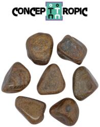  Bronzit Rulat Natural - 26-37 x 18-25 mm - ( XL ) - 1 Buc