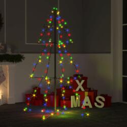 vidaXL Brad de Crăciun conic 160 LED-uri, 78x120 cm, interior/exterior (328569) - vidaxl