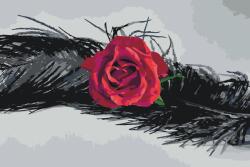  Festés számok szerint - Rózsa tollban Méret: 40x60cm, Keretezés: Keret nélkül (csak a vászon)