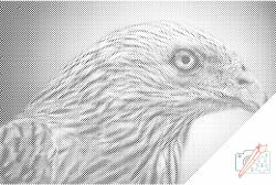  PontPöttyöző - Sas Méret: 40x60cm, Keretezés: Keret nélkül (csak a vászon), Szín: Zöld