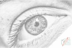  PontPöttyöző - Emberi szem Méret: 40x60cm, Keretezés: Keret nélkül (csak a vászon), Szín: Fekete