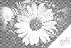  PontPöttyöző - Vízcseppek virágon Méret: 40x60cm, Keretezés: Keret nélkül (csak a vászon), Szín: Fekete