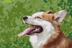  Festés számok szerint - Corgi Méret: 40x60cm, Keretezés: Keret nélkül (csak a vászon)
