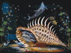  Festés számok szerint - Delfin nagy kagylóban Méret: 40x50cm, Keretezés: Keret nélkül (csak a vászon)