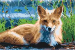  Festés számok szerint - Róka Méret: 40x60cm, Keretezés: Keret nélkül (csak a vászon)