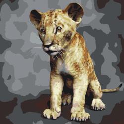 Festés számok szerint - Kis Simba Méret: 50x50cm, Keretezés: Keret nélkül (csak a vászon)