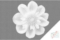 PontPöttyöző - Virágfej Méret: 40x60cm, Keretezés: Keret nélkül (csak a vászon), Szín: Fekete