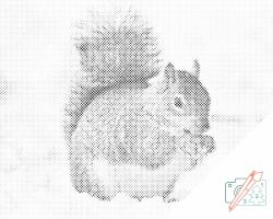  PontPöttyöző - Mókus makkal Méret: 40x50cm, Keretezés: Keret nélkül (csak a vászon), Szín: Fekete