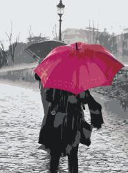 Festés számok szerint - Piros esernyő Méret: 40x60cm, Keretezés: Keret nélkül (csak a vászon)