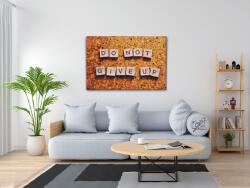  Festés számok szerint - Ne add fel Méret: 40x60cm, Keretezés: Keret nélkül (csak a vászon)
