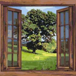 Festés számok szerint - Kilátás ablakból Méret: 50x50cm, Keretezés: Keret nélkül (csak a vászon)