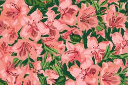 Festés számok szerint - Rózsaszín virágok 2 Méret: 40x60cm, Keretezés: Keret nélkül (csak a vászon)