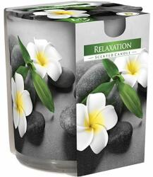 BISPOL Relaxation 120 g