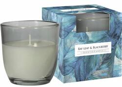 BISPOL Babérlevél és Szeder 100 g