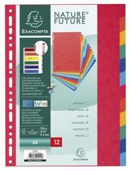 EXACOMPTA A4 12 részes karton színes elválasztólap (P2220-0140) - officedepot