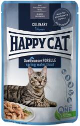 Happy Cat Culinary Quellwasser Forelle alutasakos eledel - Pisztráng 24 x 85 g
