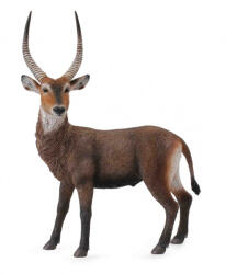 CollectA Figurina Antilopa africana (COL88562L)