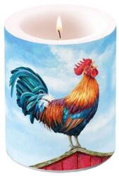 Ambiente Kakasos 12x10 cm