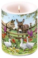 Ambiente Meeting Point 12x10 cm