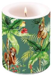 Ambiente Orangutan Green átvilágítós gyertya 12x10 cm