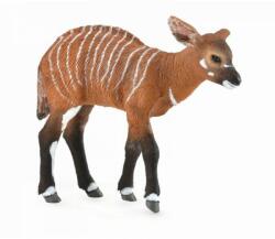 CollectA Figurina Pui de Antilopa Bongo M Collecta (COL88823M) Figurina