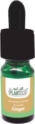 PLANTECO Ulei esential organic Ginger (Ghimbir), 5 ml, Planteco