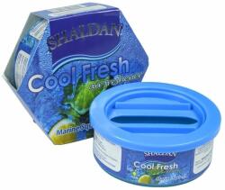 SHALDAN Odorizant auto gel Shaldan® Cool Fresh Squash