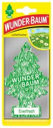 Wunder-Baum Odorizant auto WUNDER-BAUM® Everfresh