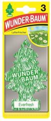 Wunder-Baum Odorizant auto WUNDER-BAUM Everfresh
