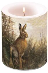 Ambiente Portrait of Hare átvilágítós gyertya 12x10 cm